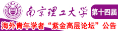 操逼黄骚视频网址南京理工大学第十四届海外青年学者紫金论坛诚邀海内外英才！